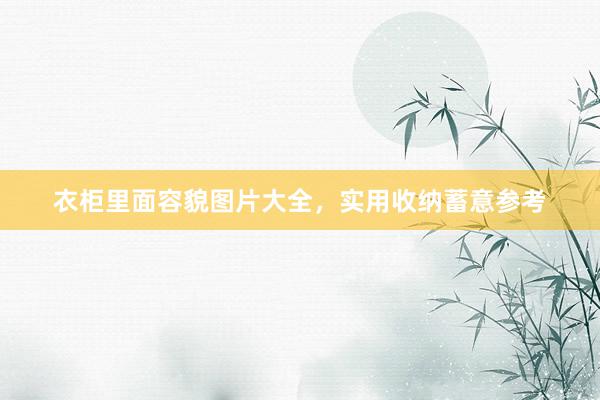 衣柜里面容貌图片大全，实用收纳蓄意参考